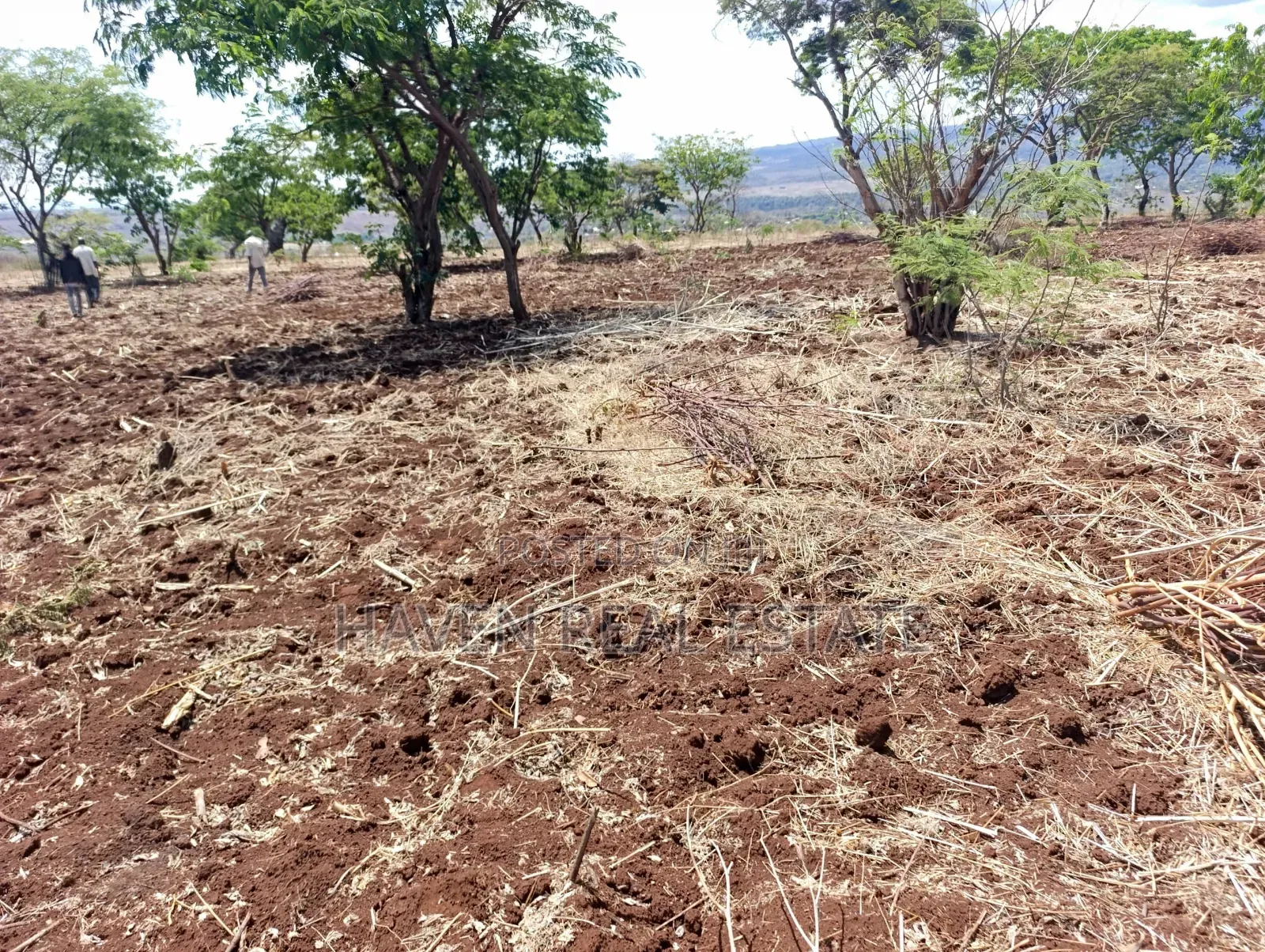 *10 Acres at Ngorongoro Conservation Area for Sale in Karatu*