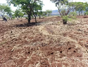 *10 Acres at Ngorongoro Conservation Area for Sale in Karatu*