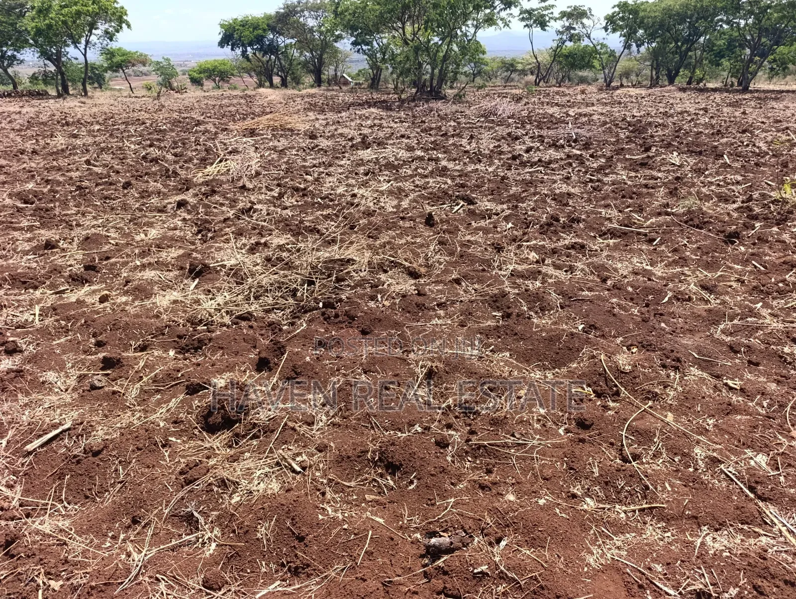 *10 Acres at Ngorongoro Conservation Area for Sale in Karatu*