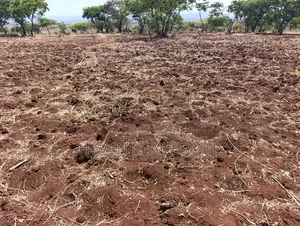 *10 Acres at Ngorongoro Conservation Area for Sale in Karatu*
