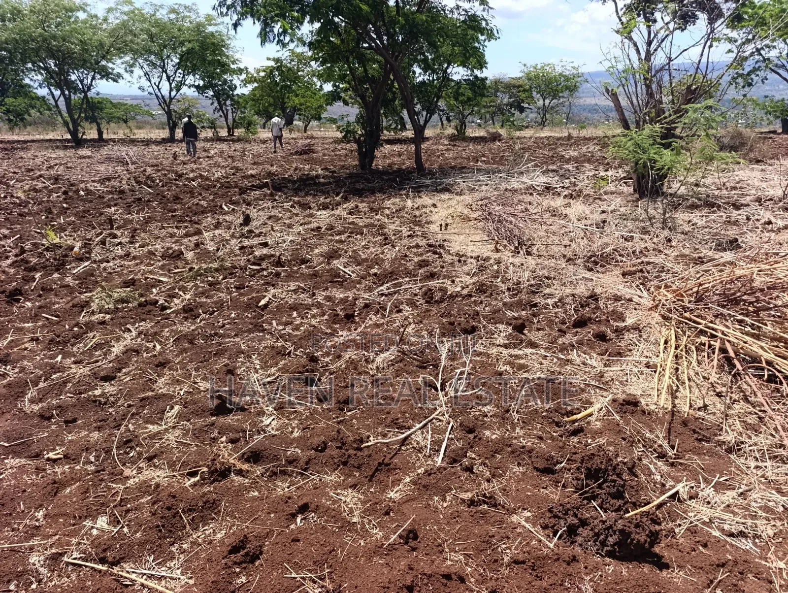 *10 Acres at Ngorongoro Conservation Area for Sale in Karatu*