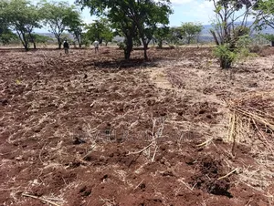 *10 Acres at Ngorongoro Conservation Area for Sale in Karatu*