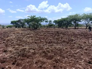 *10 Acres at Ngorongoro Conservation Area for Sale in Karatu*