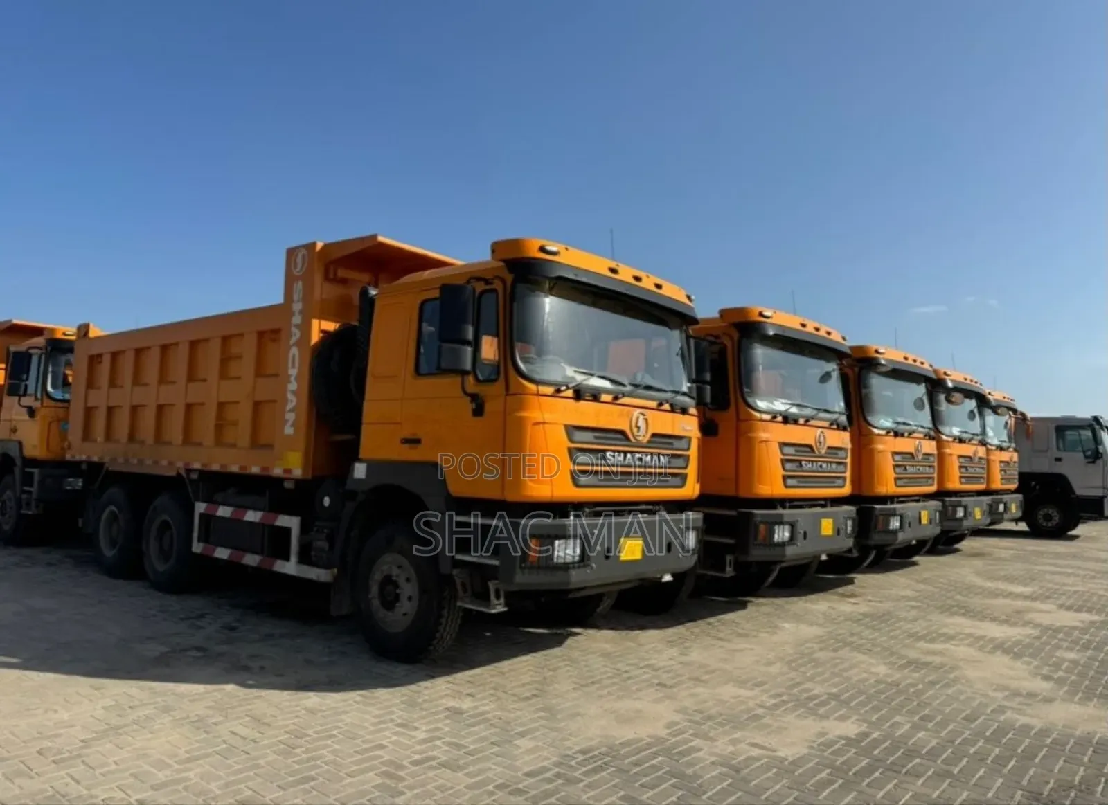 Dump Trucks/Tipper