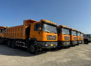 Dump Trucks/Tipper