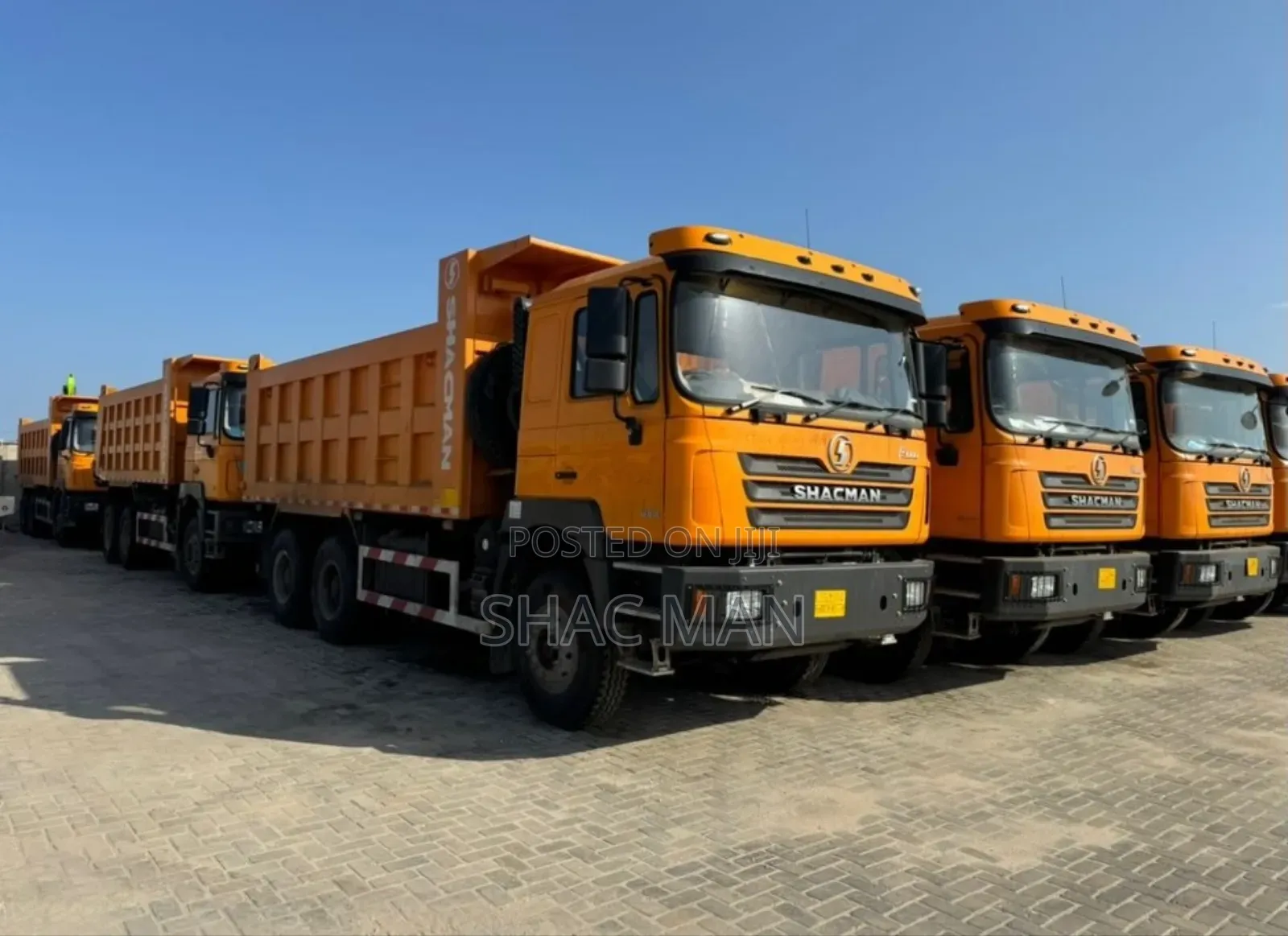 Dump Trucks/Tipper