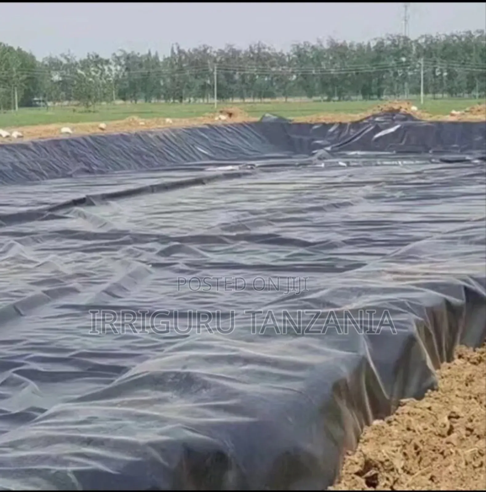 Breeding Pond