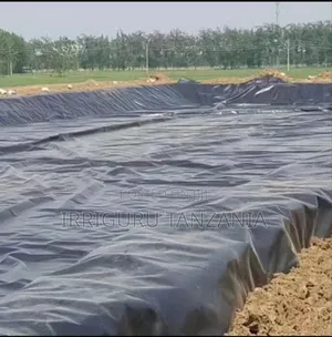 Breeding Pond