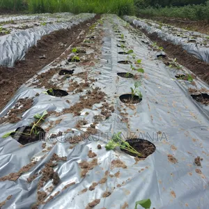 Weed Control Film