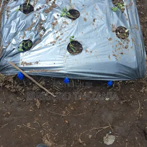 Silver/Black Mulch Film