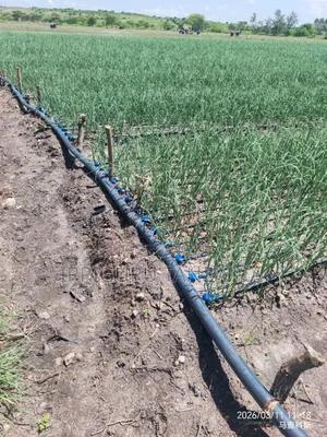 Drip Irrigation Tape