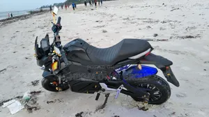 Kawasaki Bike 2025 Black