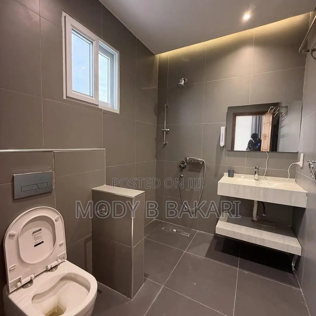 Furnished 3bdrm Apartment in Masaki for rent