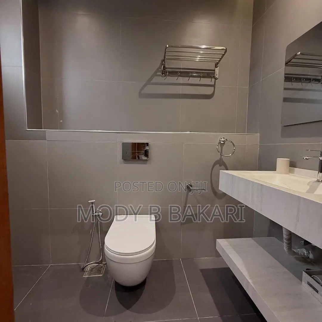 Furnished 3bdrm Apartment in Masaki for rent