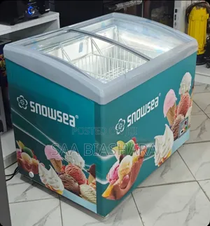 Snowsea Showcase Freezer 300l