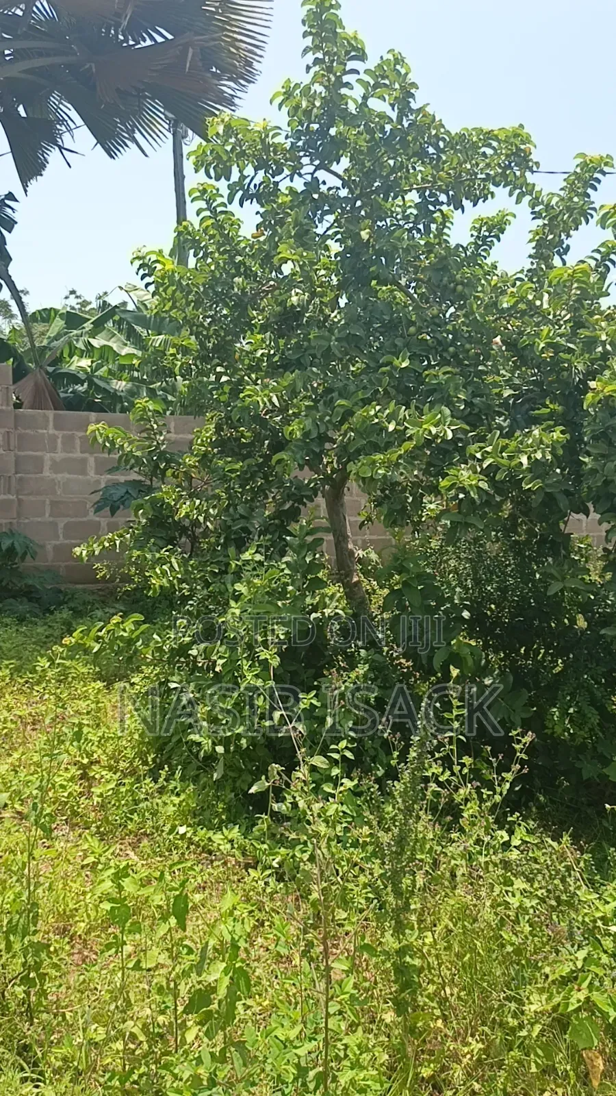 Furnished 3bdrm House in Mkolani for sale