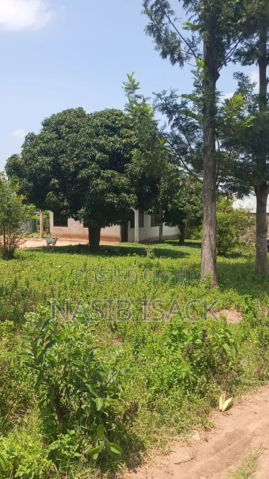 Furnished 3bdrm House in Mkolani for sale