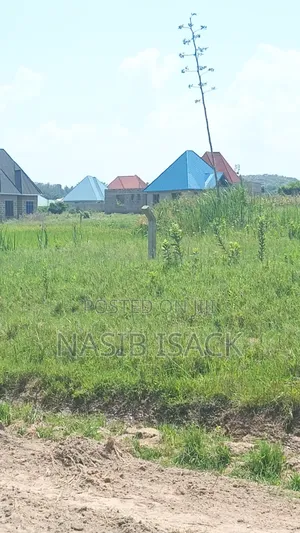 Plot for Sale Mwanza Ruchelele