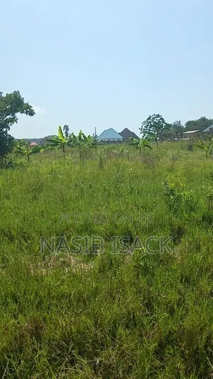 Plot for Sale Mwanza Ruchelele
