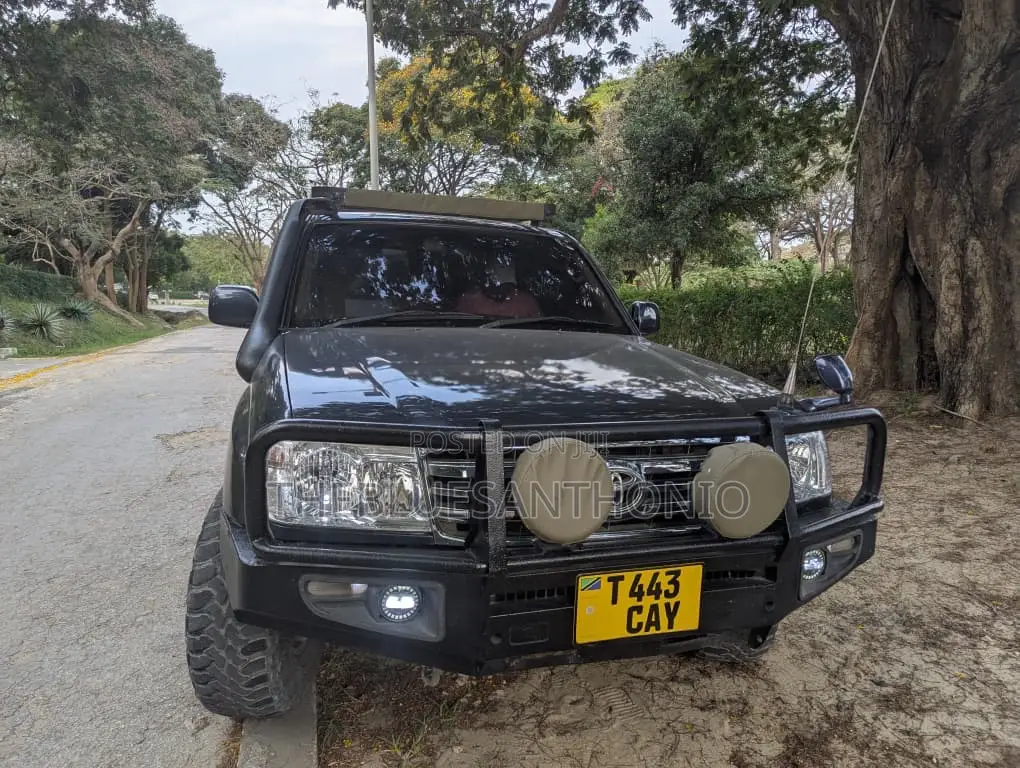 Toyota Land Cruiser 2003 Gray