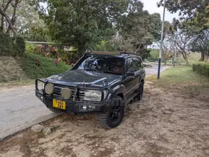 Toyota Land Cruiser 2003 Gray