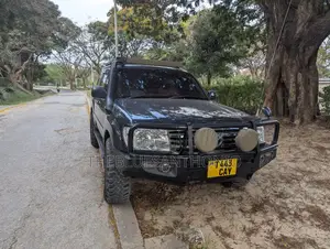 Toyota Land Cruiser 2003 Gray