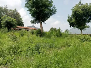 Kiwanja Kimara Korogwe Tambarale