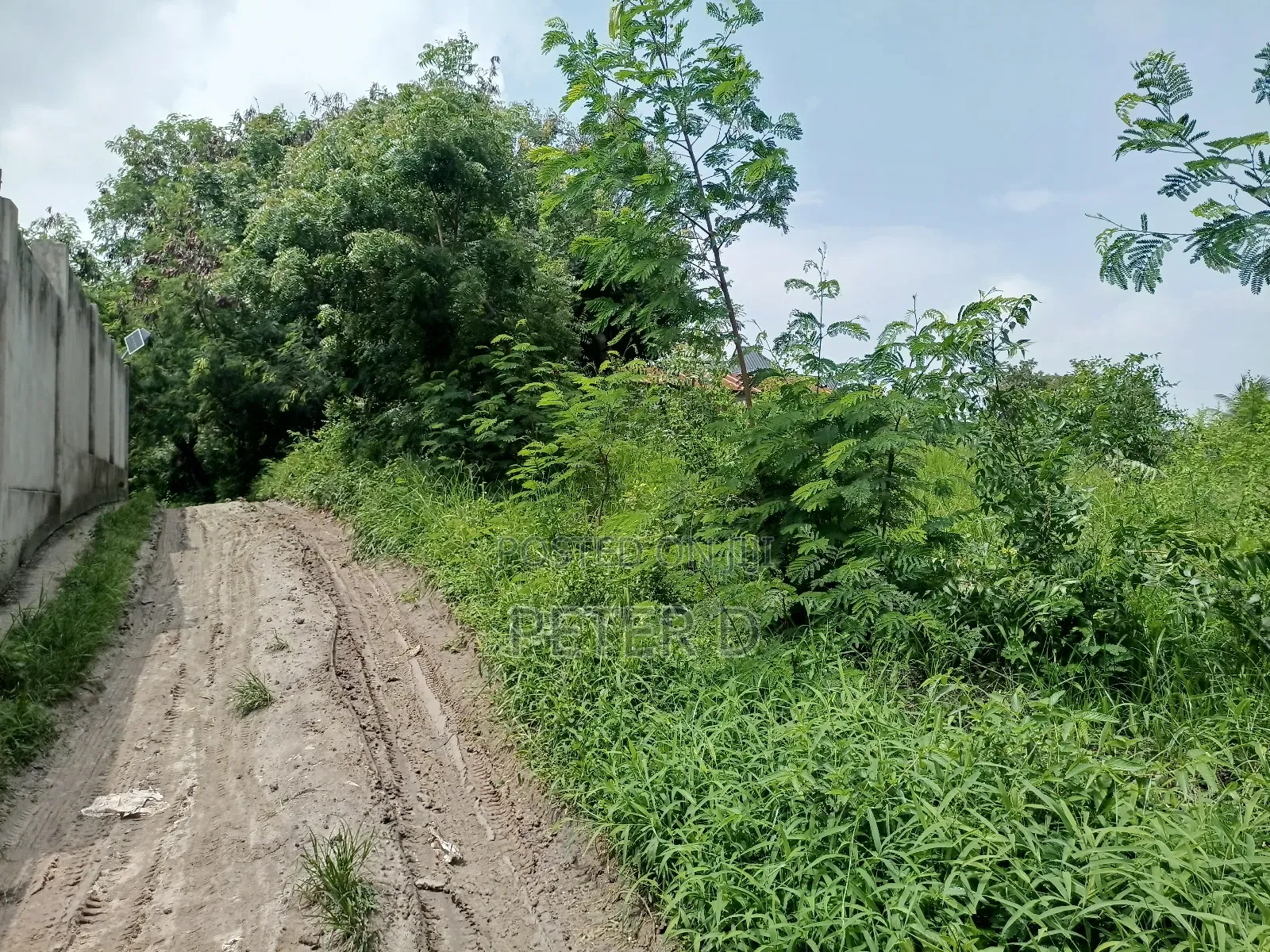 Kiwanja Kimara Korogwe Tambarale