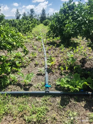 Irrigation System Pipes