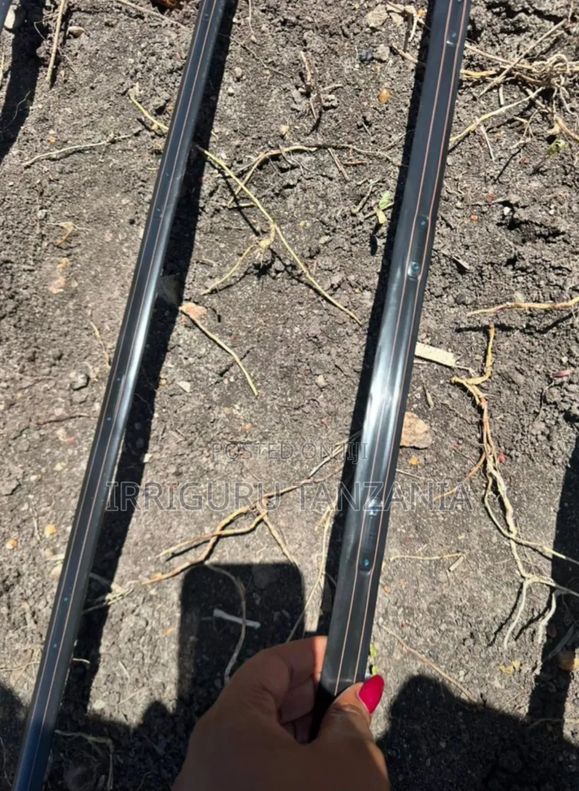 15 Cm Drip Lines