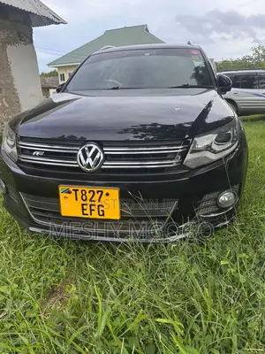 Volkswagen Tiguan 2013 Black
