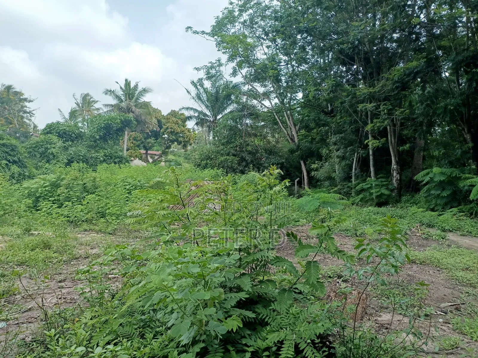 Kiwanja Sqm750 Kimara Korogwe