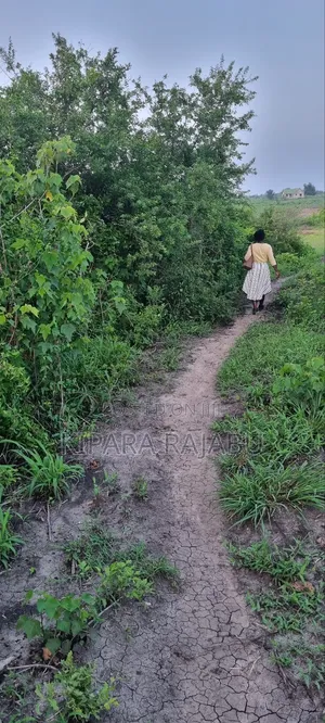 Shamba Rinauzwa Kiwangwa Pwani Ya Bagamoyo