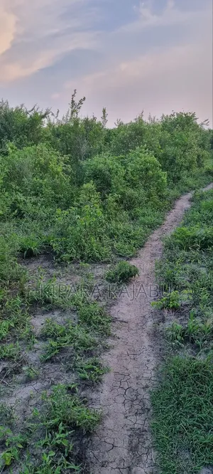 Shamba Rinauzwa Kiwangwa Pwani Ya Bagamoyo