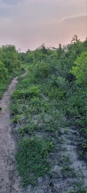 Shamba Rinauzwa Kiwangwa Pwani Ya Bagamoyo