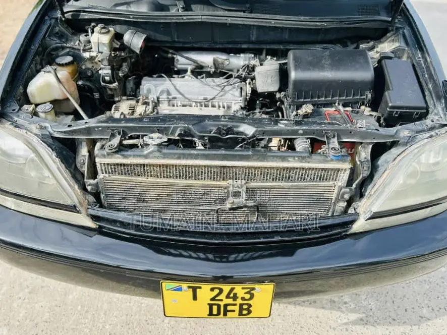 Toyota Harrier 2006 Black
