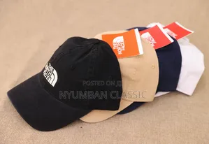 Caps the North Face