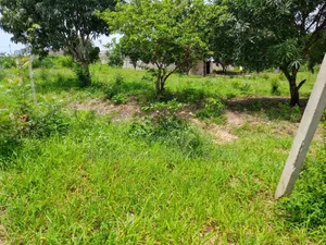 Industrial Plot for Sale Pemba Mnazi Kisarawe Ii Facing the Main Road.