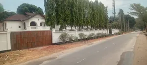 14bdrm Bungalow in Swedi Property, Mikocheni for rent
