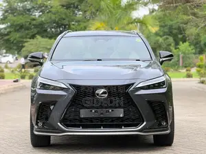 Lexus NX 2024 Gray