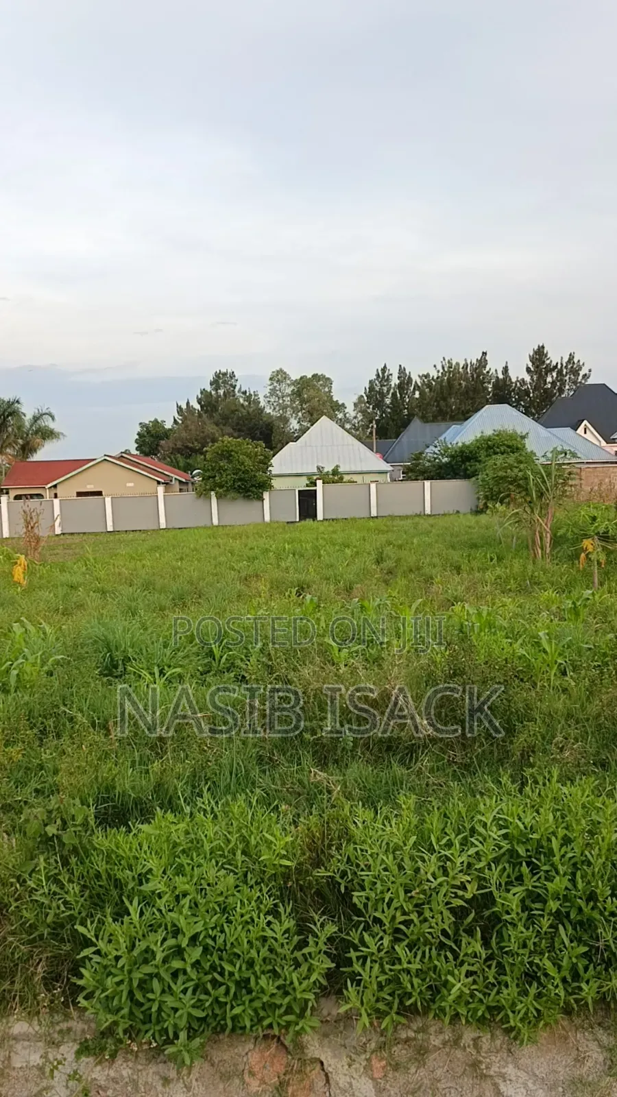 Plot for Sale Nyamuhongoro