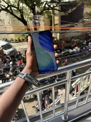 Apple iPhone 15 Pro Max 256 GB Gray