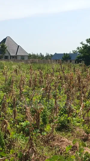 Plot for Sale Usagara Mwanza