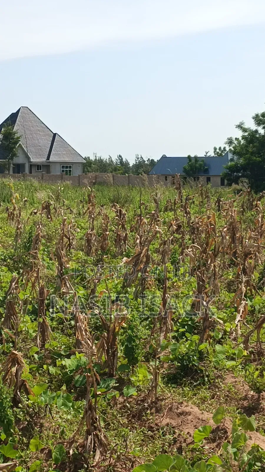 Plot for Sale Usagara Mwanza