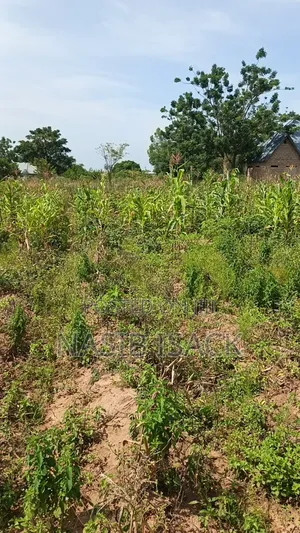 Plot for Sale Usagara Mwanza