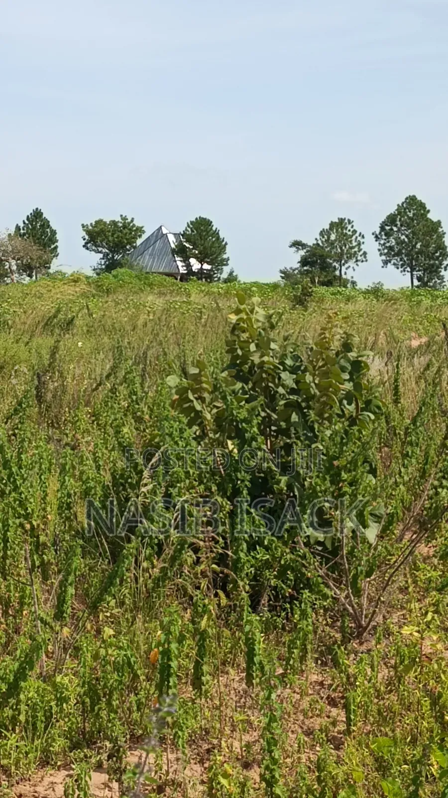 Plot for Sale Usagara Mwanza