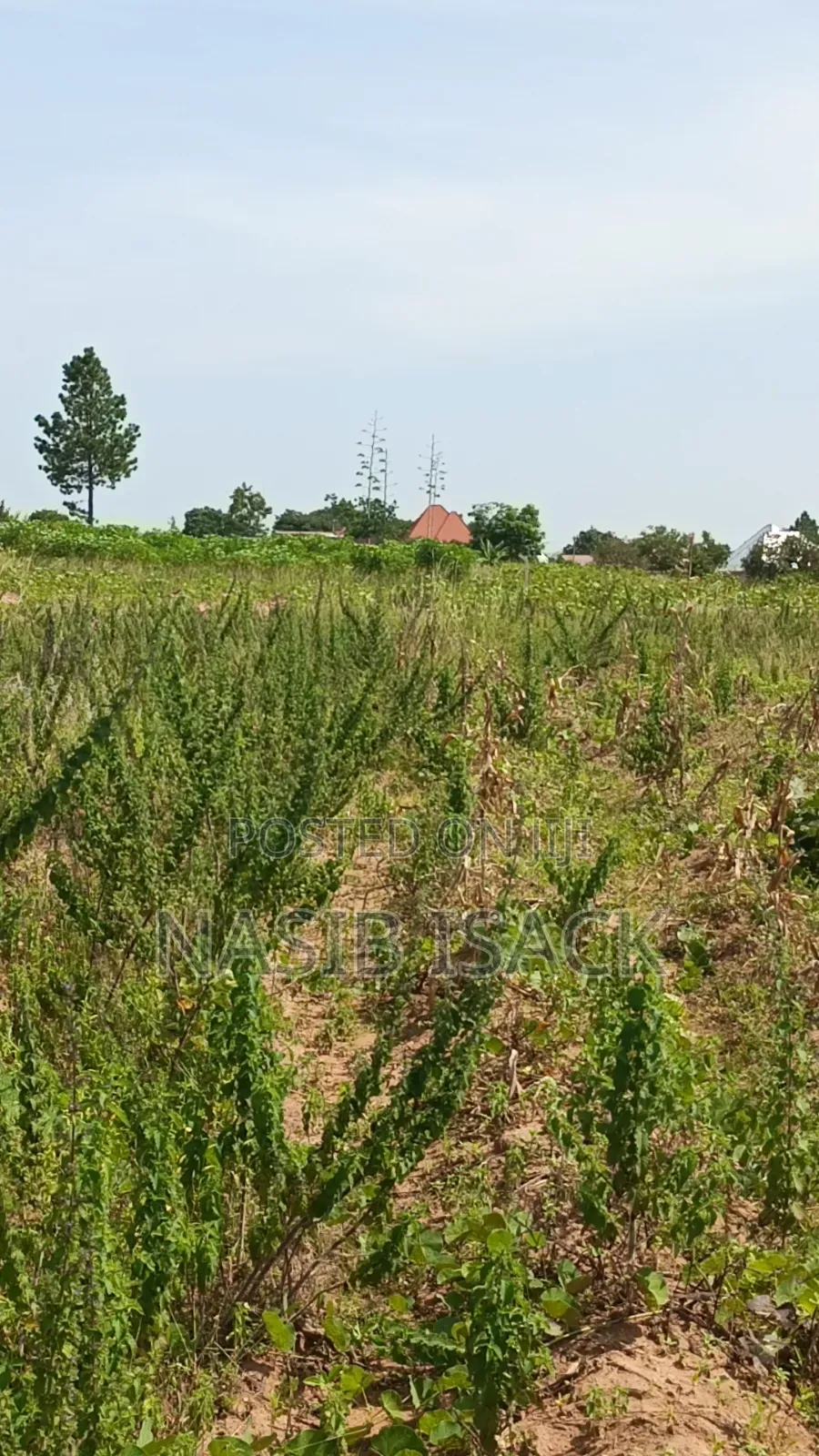 Plot for Sale Usagara Mwanza