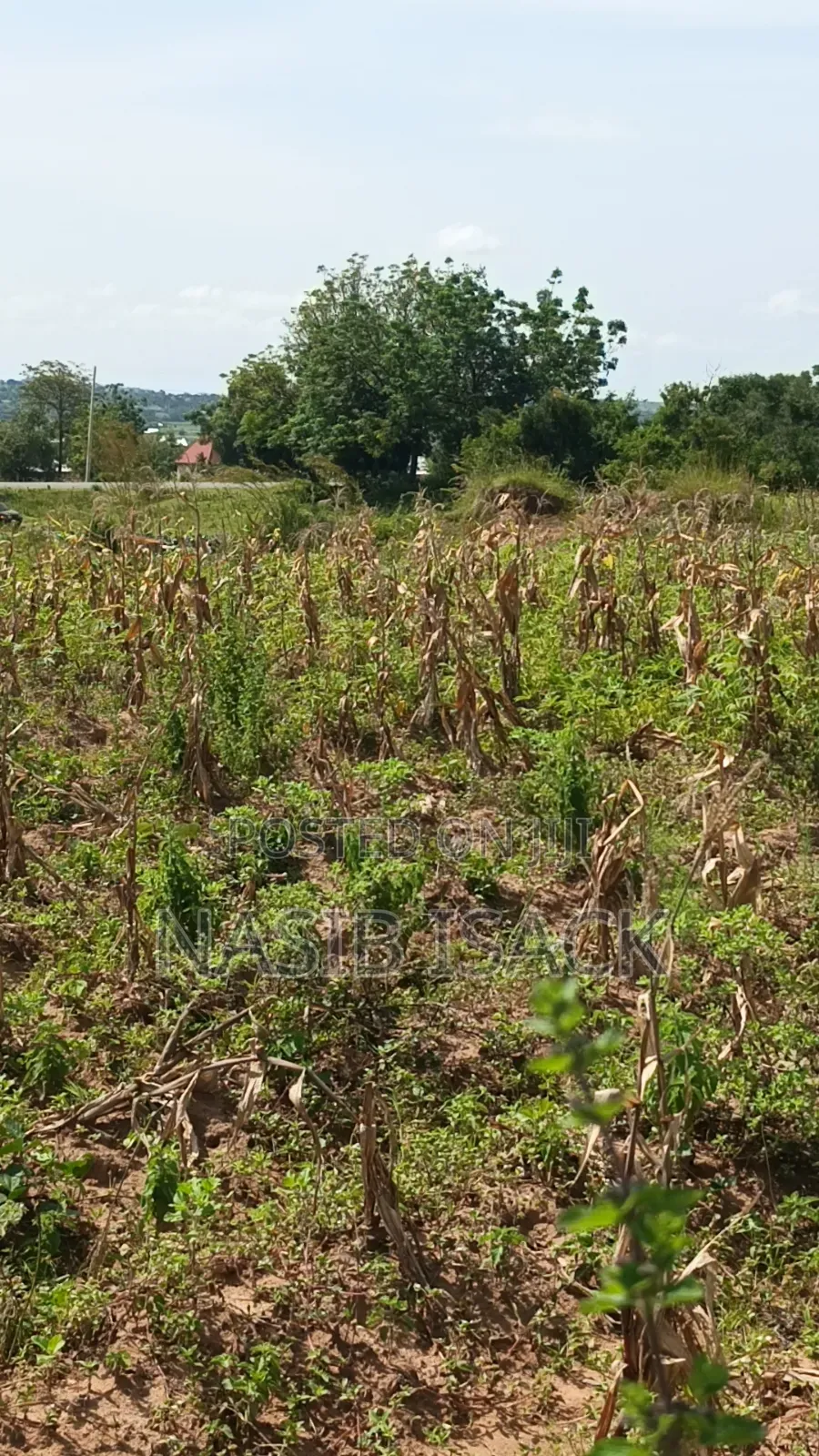 Plot for Sale Usagara Mwanza