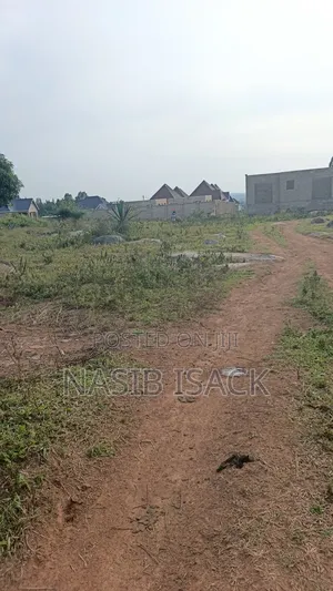 Plot for Sale Square Meters 2650 Mwanza Busweru