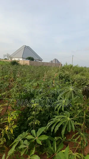 Plot for Sale Square Meters 2650 Mwanza Busweru